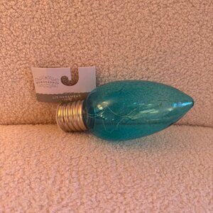 Wondershop Large Light Up Bulb Ornament